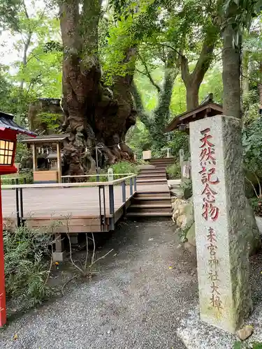 來宮神社の建物その他