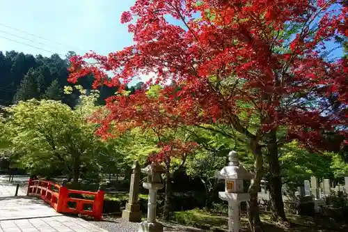 高野山金剛峯寺奥の院の建物その他