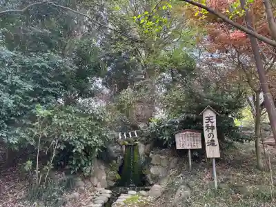  高鳥天満宮の{uncategorized: "未分類", other: "その他", undefined: "問題あり", building: "その他建物", grave: "お墓", sacred_gate: "鳥居", guardian: "狛犬", statue: "像", buddha: "仏像", history: "歴史", nature: "自然", garden: "庭園", animal: "動物", pagoda: "塔", temizu: "手水舎", mountain_gate: "山門・神門", sanctuary: "本殿・本堂", subordinate: "末社・摂社", art: "芸術", scenery: "景色", jizo: "地蔵", ema: "絵馬", goshuin: "御朱印", omikuji: "おみくじ", items: "授与品その他", amulet: "お守り", goshuincho: "御朱印帳", eats: "食事", festival: "お祭り", votive_dance: "神楽", shichigosan: "七五三参", wedding: "結婚式", experience: "体験その他", initially: "初詣", around: "周辺", anti_infection: "感染症対策"}