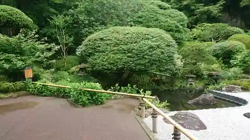 報国寺の庭園