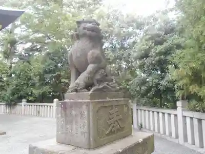 白旗神社の狛犬