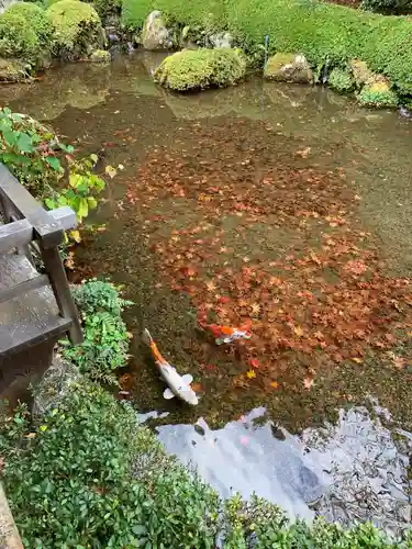 寂光院(京都府)