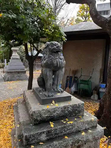 鳩森八幡神社の狛犬