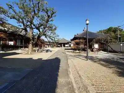 道明寺(大阪府)