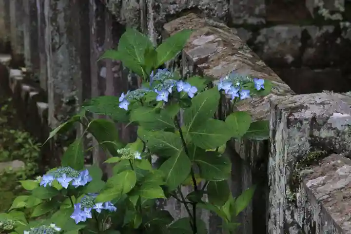 国宝 大法寺のその他建物