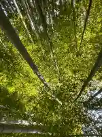 報国寺の{uncategorized: "未分類", other: "その他", undefined: "問題あり", building: "その他建物", grave: "お墓", sacred_gate: "鳥居", guardian: "狛犬", statue: "像", buddha: "仏像", history: "歴史", nature: "自然", garden: "庭園", animal: "動物", pagoda: "塔", temizu: "手水舎", mountain_gate: "山門・神門", sanctuary: "本殿・本堂", subordinate: "末社・摂社", art: "芸術", scenery: "景色", jizo: "地蔵", ema: "絵馬", goshuin: "御朱印", omikuji: "おみくじ", items: "授与品その他", amulet: "お守り", goshuincho: "御朱印帳", eats: "食事", festival: "お祭り", votive_dance: "神楽", shichigosan: "七五三参", wedding: "結婚式", experience: "体験その他", initially: "初詣", around: "周辺", anti_infection: "感染症対策"}