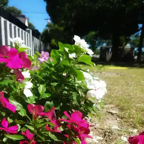 秋葉神社の自然