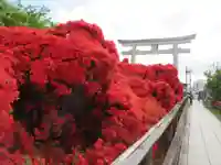 長岡天満宮の自然