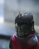 鳳仙寺(群馬県)