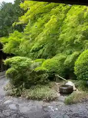 崇禅寺の庭園