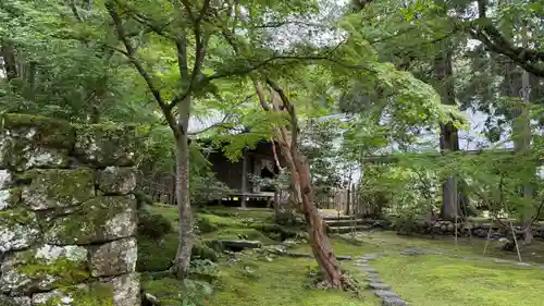 竹林寺(高知県)