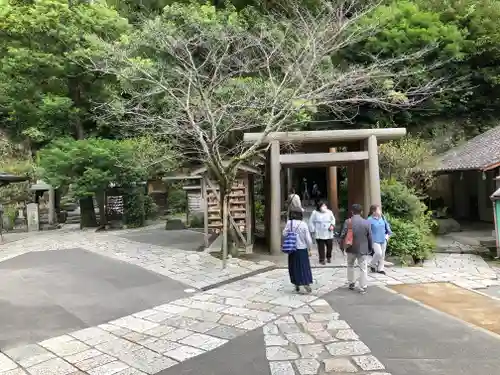 銭洗弁財天宇賀福神社の鳥居