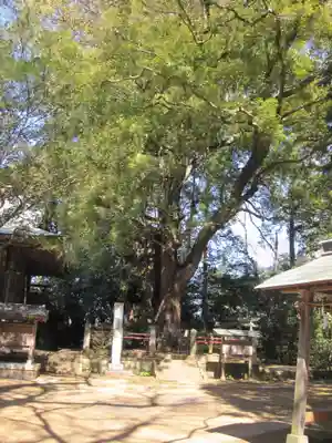 神崎神社(千葉県)