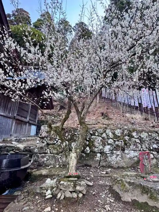 英彦山神宮の{uncategorized: "未分類", other: "その他", undefined: "問題あり", building: "その他建物", grave: "お墓", sacred_gate: "鳥居", guardian: "狛犬", statue: "像", buddha: "仏像", history: "歴史", nature: "自然", garden: "庭園", animal: "動物", pagoda: "塔", temizu: "手水舎", mountain_gate: "山門・神門", sanctuary: "本殿・本堂", subordinate: "末社・摂社", art: "芸術", scenery: "景色", jizo: "地蔵", ema: "絵馬", goshuin: "御朱印", omikuji: "おみくじ", items: "授与品その他", amulet: "お守り", goshuincho: "御朱印帳", eats: "食事", festival: "お祭り", votive_dance: "神楽", shichigosan: "七五三参", wedding: "結婚式", experience: "体験その他", initially: "初詣", around: "周辺", anti_infection: "感染症対策"}