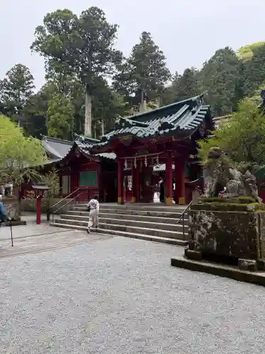 箱根神社の{uncategorized: "未分類", other: "その他", undefined: "問題あり", building: "その他建物", grave: "お墓", sacred_gate: "鳥居", guardian: "狛犬", statue: "像", buddha: "仏像", history: "歴史", nature: "自然", garden: "庭園", animal: "動物", pagoda: "塔", temizu: "手水舎", mountain_gate: "山門・神門", sanctuary: "本殿・本堂", subordinate: "末社・摂社", art: "芸術", scenery: "景色", jizo: "地蔵", ema: "絵馬", goshuin: "御朱印", omikuji: "おみくじ", items: "授与品その他", amulet: "お守り", goshuincho: "御朱印帳", eats: "食事", festival: "お祭り", votive_dance: "神楽", shichigosan: "七五三参", wedding: "結婚式", experience: "体験その他", initially: "初詣", around: "周辺", anti_infection: "感染症対策"}