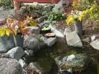 武蔵一宮氷川神社(埼玉県)