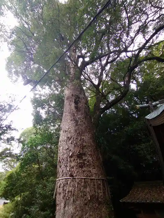 鎮西大社諏訪神社(長崎県)