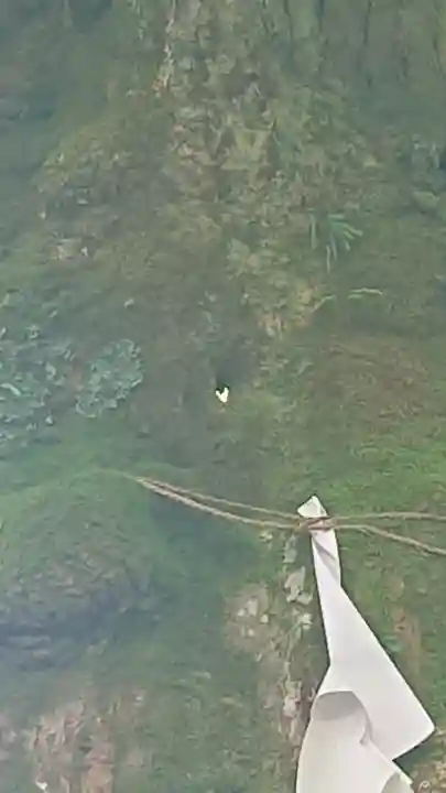 しなの木神社の{uncategorized: "未分類", other: "その他", undefined: "問題あり", building: "その他建物", grave: "お墓", sacred_gate: "鳥居", guardian: "狛犬", statue: "像", buddha: "仏像", history: "歴史", nature: "自然", garden: "庭園", animal: "動物", pagoda: "塔", temizu: "手水舎", mountain_gate: "山門・神門", sanctuary: "本殿・本堂", subordinate: "末社・摂社", art: "芸術", scenery: "景色", jizo: "地蔵", ema: "絵馬", goshuin: "御朱印", omikuji: "おみくじ", items: "授与品その他", amulet: "お守り", goshuincho: "御朱印帳", eats: "食事", festival: "お祭り", votive_dance: "神楽", shichigosan: "七五三参", wedding: "結婚式", experience: "体験その他", initially: "初詣", around: "周辺", anti_infection: "感染症対策"}