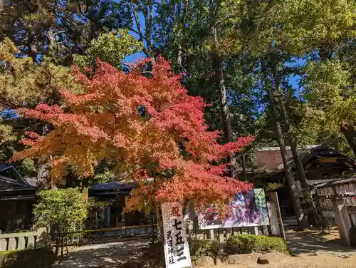 武田神社の庭園