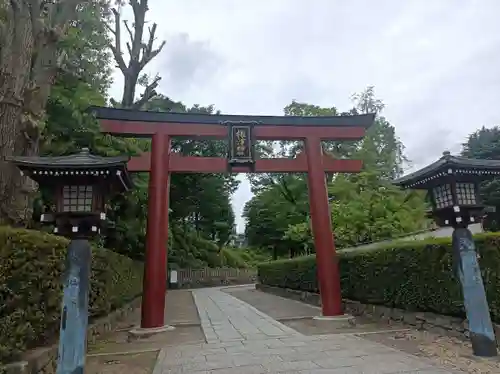 根津神社(東京都)