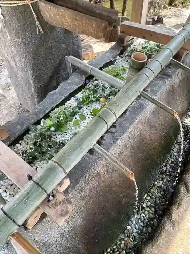 賀茂別雷神社（上賀茂神社）の手水舎