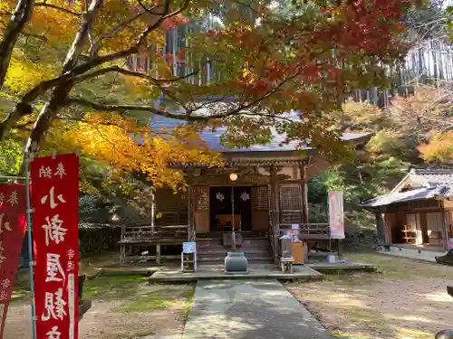 小新屋観音(兵庫県)