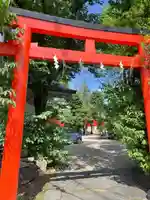 馬橋稲荷神社の鳥居