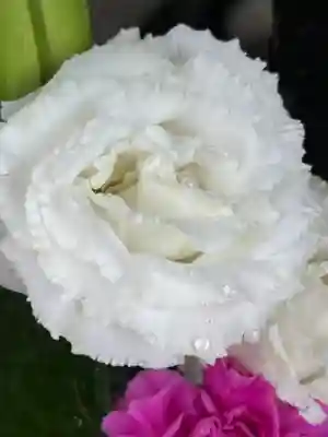 上尾御嶽神社の手水舎