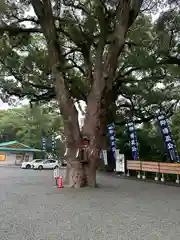 加藤神社(熊本県)