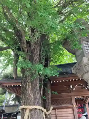 豊川稲荷東京別院の自然