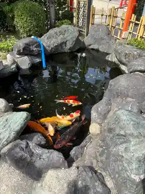 尾張猿田彦神社(愛知県)