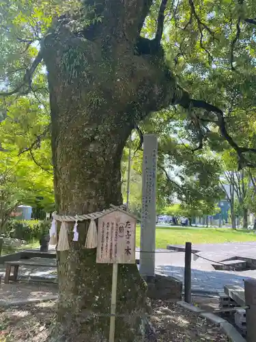 橿森神社の自然