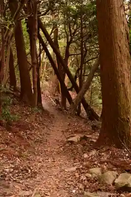 峯神社(大麻比古神社奥宮)(徳島県)