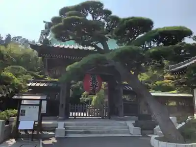 長谷寺の山門・神門