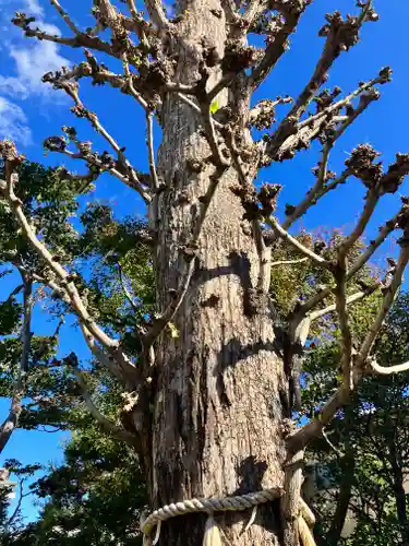常性寺(東京都)