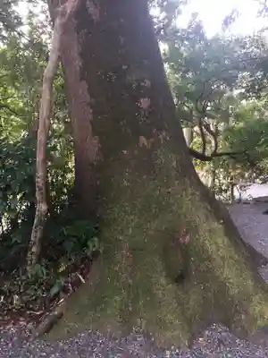 葭原神社(皇大神宮末社)の自然