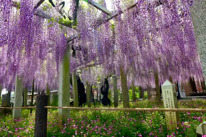 三大神社(滋賀県)