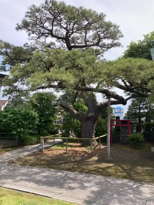 安立寺(神奈川県)