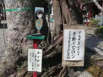 東輪寺のその他建物