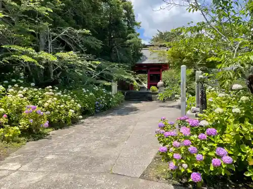 日運寺の建物その他