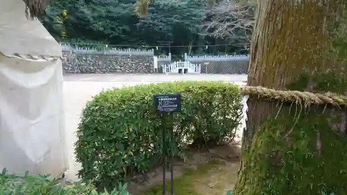 大縣神社の自然