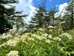 山の神神社の自然