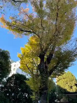 蓮乗寺(東京都)