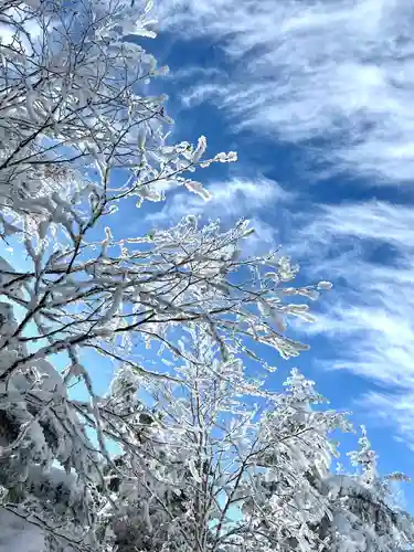 山家神社奥宮の自然