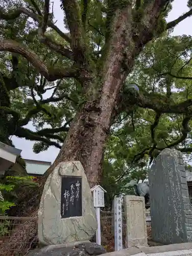 津田八幡神社(徳島県)