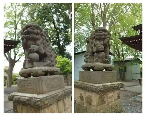 熊野福藏神社の狛犬