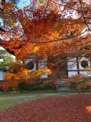 東福禅寺（東福寺）の自然