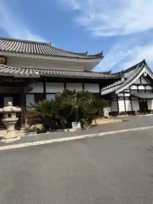 國前寺の{uncategorized: "未分類", other: "その他", undefined: "問題あり", building: "その他建物", grave: "お墓", sacred_gate: "鳥居", guardian: "狛犬", statue: "像", buddha: "仏像", history: "歴史", nature: "自然", garden: "庭園", animal: "動物", pagoda: "塔", temizu: "手水舎", mountain_gate: "山門・神門", sanctuary: "本殿・本堂", subordinate: "末社・摂社", art: "芸術", scenery: "景色", jizo: "地蔵", ema: "絵馬", goshuin: "御朱印", omikuji: "おみくじ", items: "授与品その他", amulet: "お守り", goshuincho: "御朱印帳", eats: "食事", festival: "お祭り", votive_dance: "神楽", shichigosan: "七五三参", wedding: "結婚式", experience: "体験その他", initially: "初詣", around: "周辺", anti_infection: "感染症対策"}