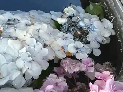 賀茂別雷神社(栃木県)