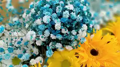 阿邪訶根神社の手水舎